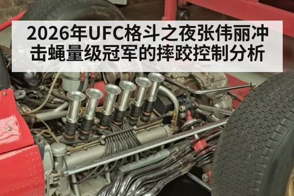 2026年UFC格斗之夜张伟丽冲击蝇量级冠军的摔跤控制分析